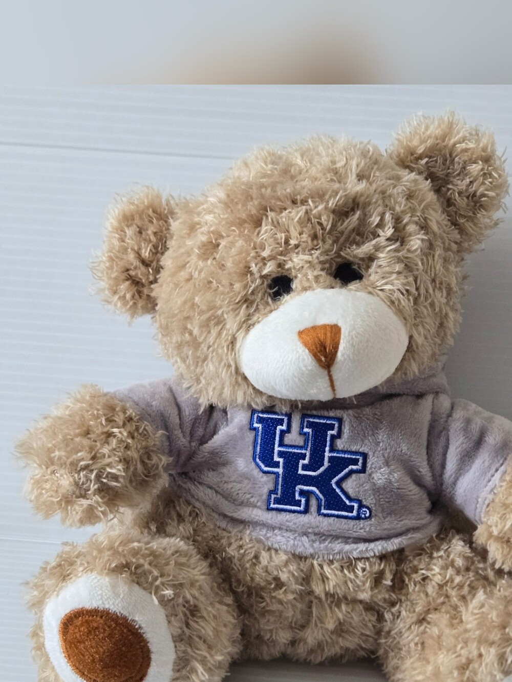University of Kentucky UK Wildcats Teddy Bear Plush Gray Hoodie